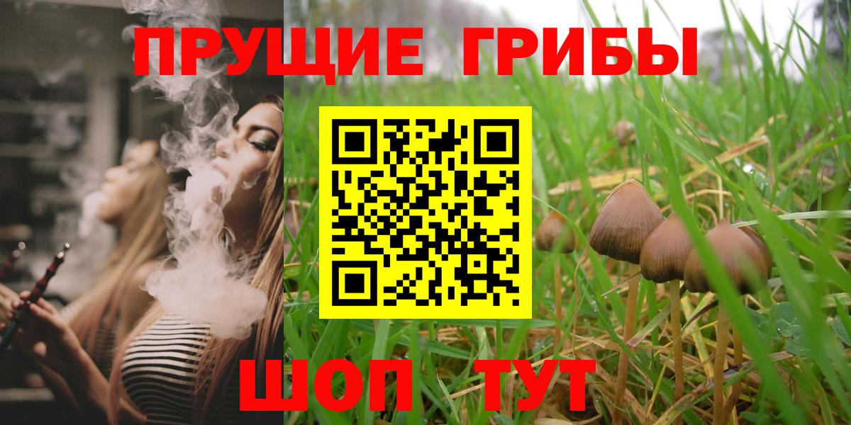 Галлюциногенные грибы MAGIC MUSHROOMS  Вход с VPN  Чита  Псилоцибиновые грибы прущие грибы 